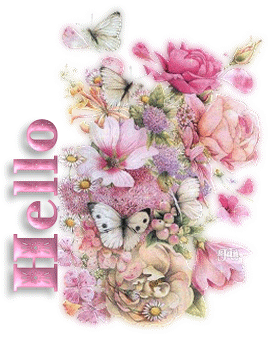 Bonjour tout le monde